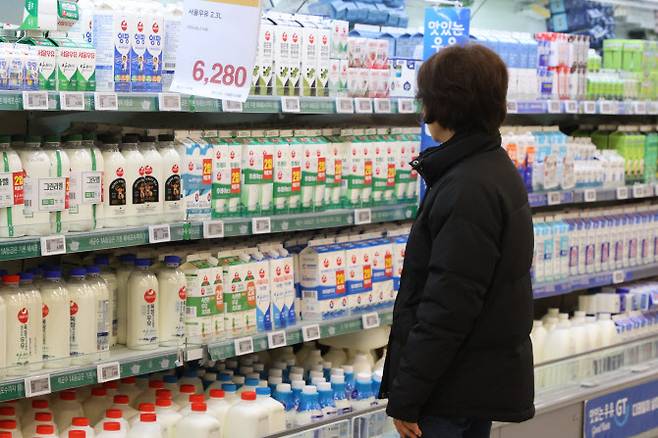 서울 시내 대형마트에서 시민들이 우유를 고르고 있다. (사진=연합뉴스)