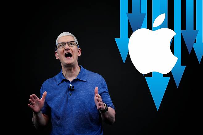 팀 쿡 애플 CEO [로이터]