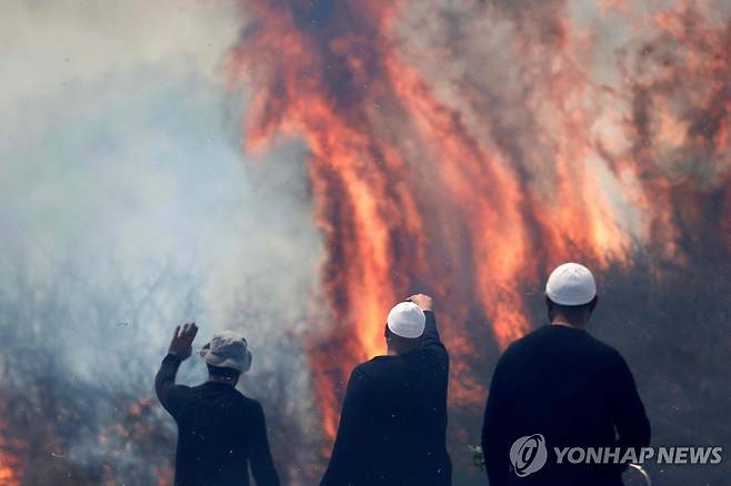 헤즈볼라의 공격으로 불타는 들판을 바라보는 골란고원의 드루즈인들 [AFP 연합뉴스 자료사진. 재판매 및 DB 금지]