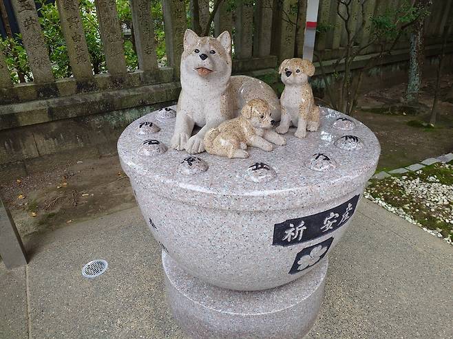 1000002795.jpg 도야마 여행