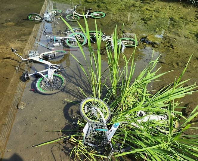 성북천에 버려진 따릉이？(사진=엑스(X·옛 트위터))