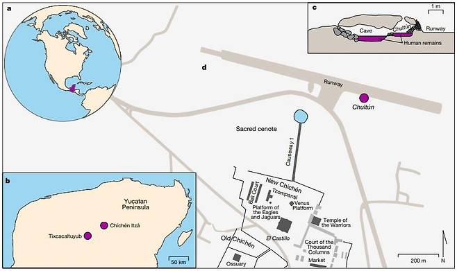 유카탄반도와 고대 마야 도시 치첸이트사 지도  a·b는 유카탄반도 및 반도 내 치첸이트사 위치, c·d는 치첸이트사 내 엘 카스티요 사원 위치와 이번 연구에서 분석된 어린이 희생자 64명의 유해가 발견된 지하동굴 저수조 '출툰' 위치. [Nature / Rodrigo Barquera et al.제공. 재판매 및 DB 금지]