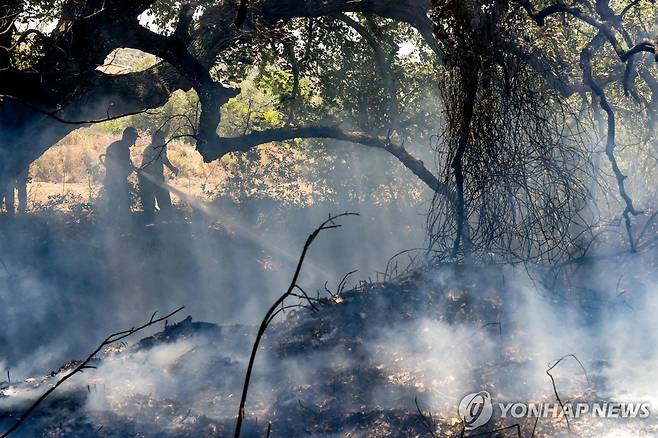 키프로스 산불 (키프로스 AFP=연합뉴스) 12일(현지시간) 키프로스에 발생한 산불을 소방관들이 진압하고 있다. 2024.06.13