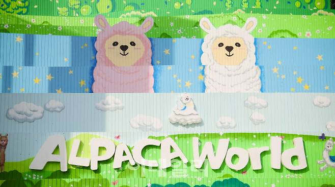 알파카월드 캐릭터와 로고