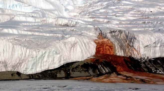 남극 대륙을 흐르는 핏빛 폭포. /사진=이미지크레디트, 라이브사이언스 캡처