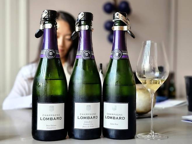 롬바흐 시그니처 라인. 최현태 기자