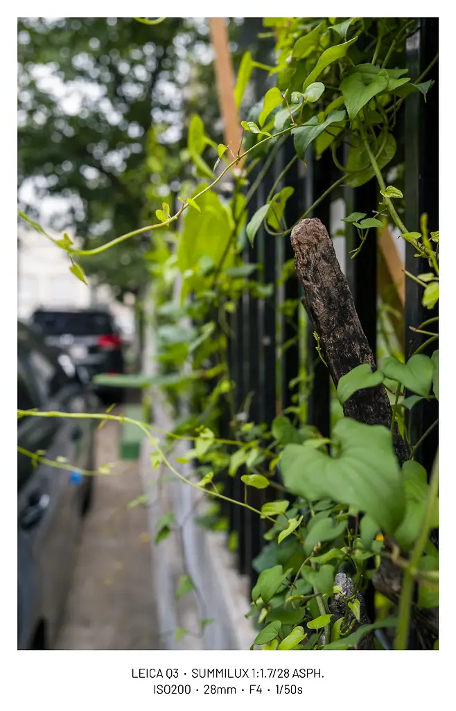 viewimage.php?id=29b4d72ff1d334b667bcc2a004d4&no=24b0d769e1d32ca73fe980fa11d028315d554368bac55d95d5bf54b6a5802c0f8e5e7ec3997de4fac4c7c4913b4c7268f2b521e72db2b7a2504025ea788deab9187ab883d58e