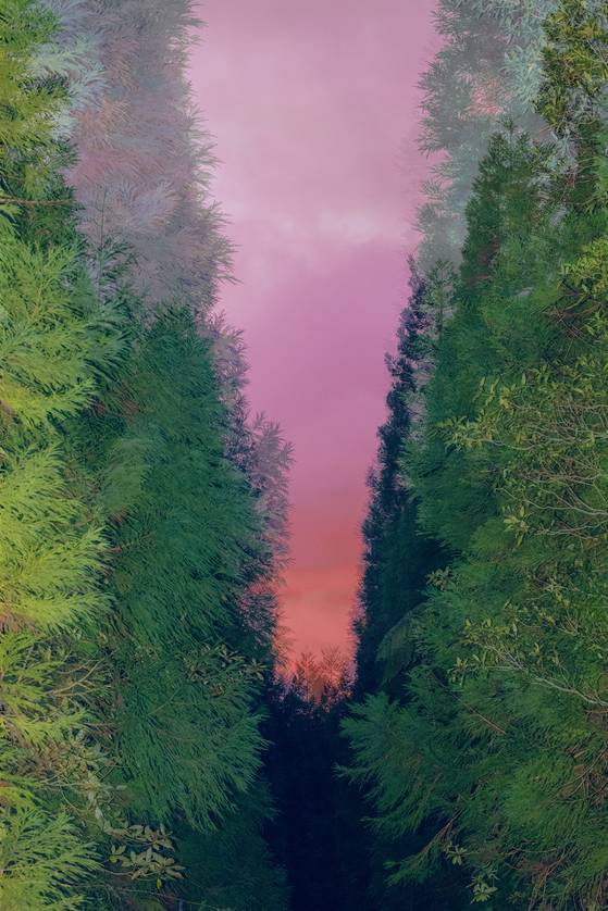 레티지아 르 퓌르_'신화 - 변신 이야기' (2019-2022). 성곡미술관 '프랑스현대사진'전에서 [성곡미술관]