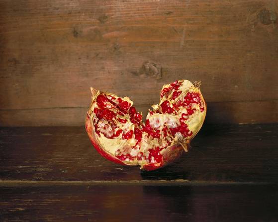 베로니크 엘레나 '정물 -석류' (2008). 성곡미술관 '프랑스현대사진'전에서 [성곡미술관]