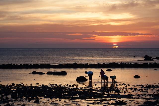 이호해수욕/제주관광공사