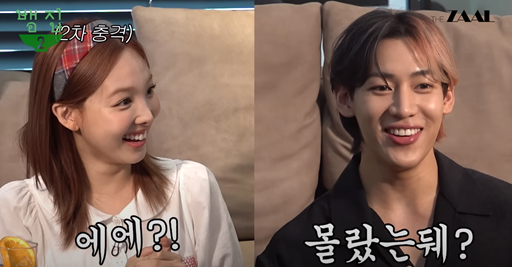 트와이스 나연이 '뱀집'에 게스트로 출연했다. 유튜브 채널 '뱀집' 캡처