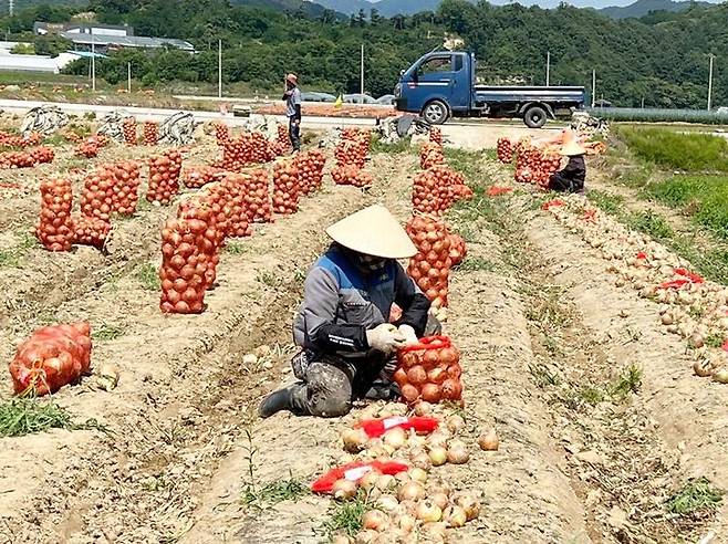 [함양=뉴시스] 함양군청 *재판매 및 DB 금지 *재판매 및 DB 금지