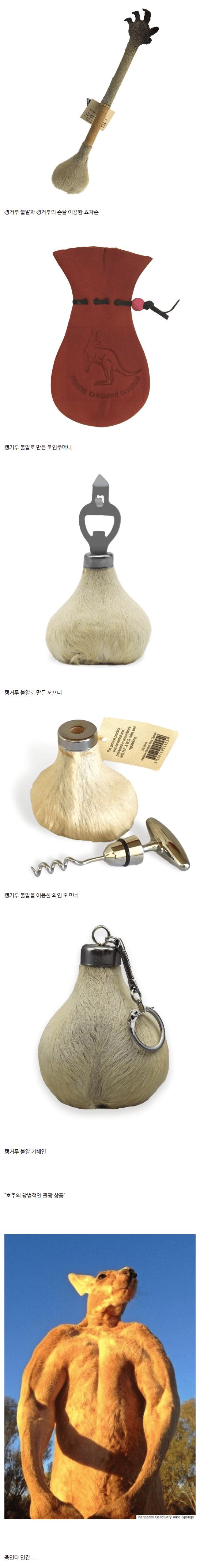 AwhL1718585343_199061549.png 흔한 호주의 관광상품