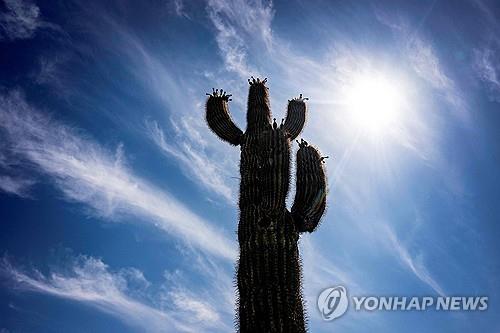 폭염 찾아온 애리조나 피닉스 [AFP=연합뉴스 자료사진]