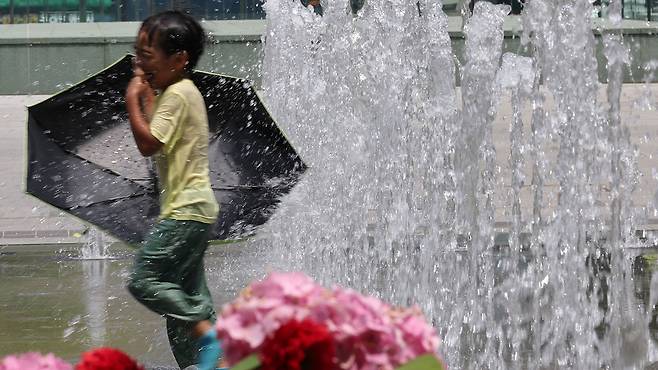자료사진 제공: 연합뉴스