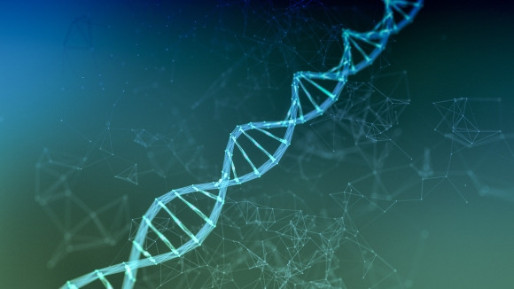 DNA 자료사진 123rf.com