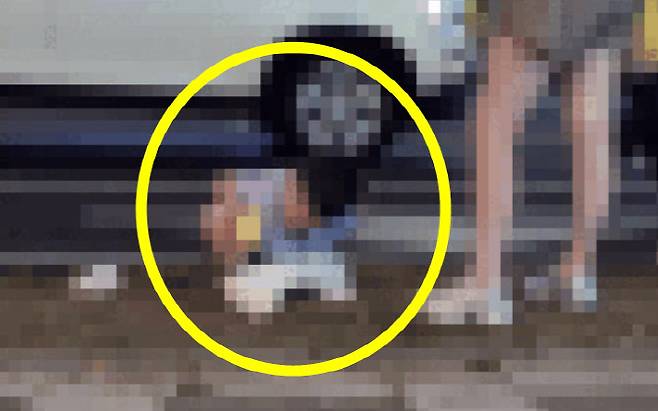 제주 길거리에서 중국인 관광객으로 추정되는 이들이 대변을 보고 있다. (사진=사회관계망서비스)