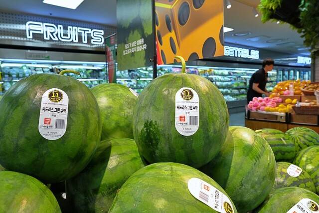 롯데마트 제타플렉스 잠실점에 진열된 씨 적은 수박의 모습. 롯데마트 제공