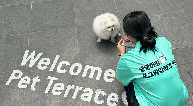 현대프리미엄아울렛 송도점에서 지난 4월 반려견 친화 쇼핑 서비스를 진행했다. / 사진=현대백화점그룹