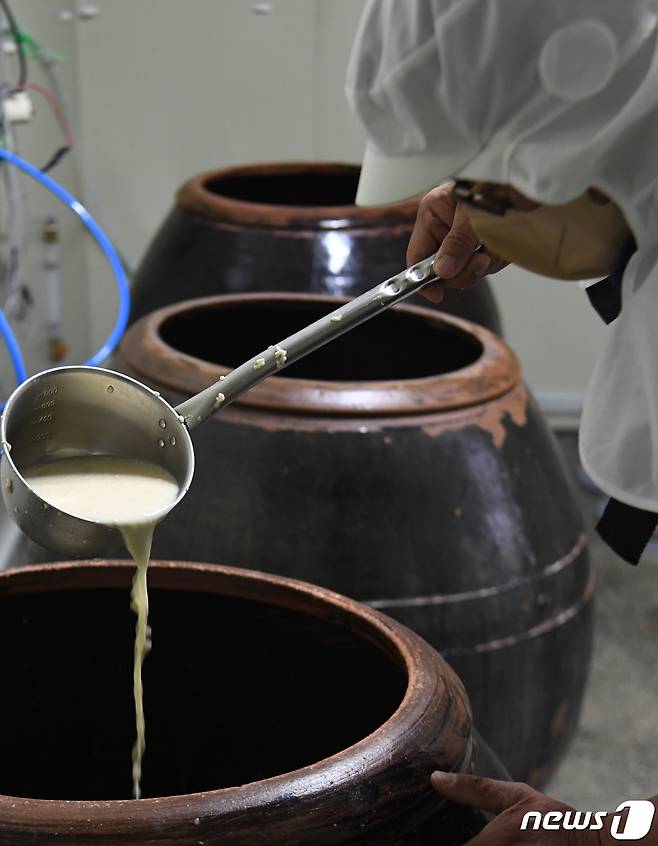 10일 경남 거창군 가조면 마상리 가조합동양조장에서 정월대보름을 닷새 앞두고 전통 옹기 술독에서 귀밝이 술이 발효되고 있다. (거창군 제공) 2022.2.10/뉴스1