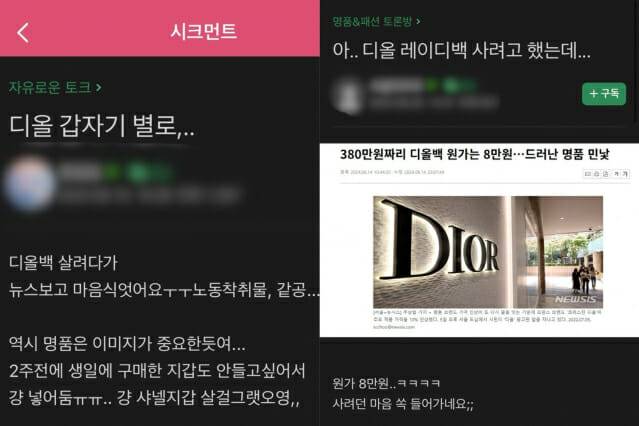 디올 노동 착취, 원가 논란에 대한 소비자 반응 (출처= 명품 카페 시크먼트)