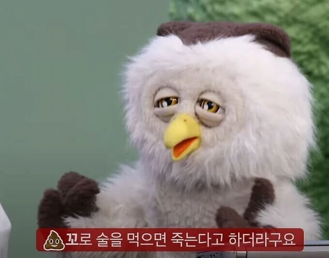 image.png 교육방송에서 나온 역대급 드립ㅋㅋㅋㅋㅋ.jpg