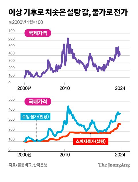 김영희 디자이너