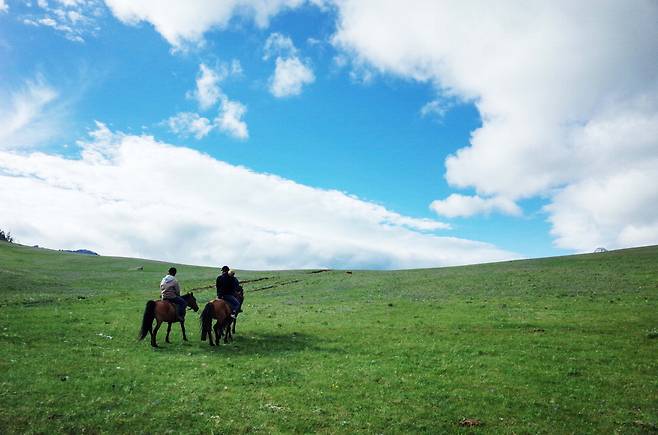 몽골의 넓은 초원 위로 말이 달리고 있습니다. 마치 내가 윈도 바탕화면 속으로 들어온 것은 아닌지 착각하게 됩니다. 한주형 기자