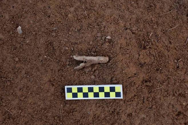 입대목 주변 철제방울 출토 모습.