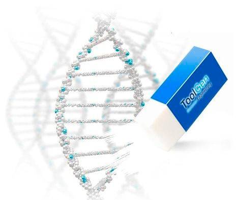 툴젠의 크리스퍼 유전자가위 이미지./툴젠