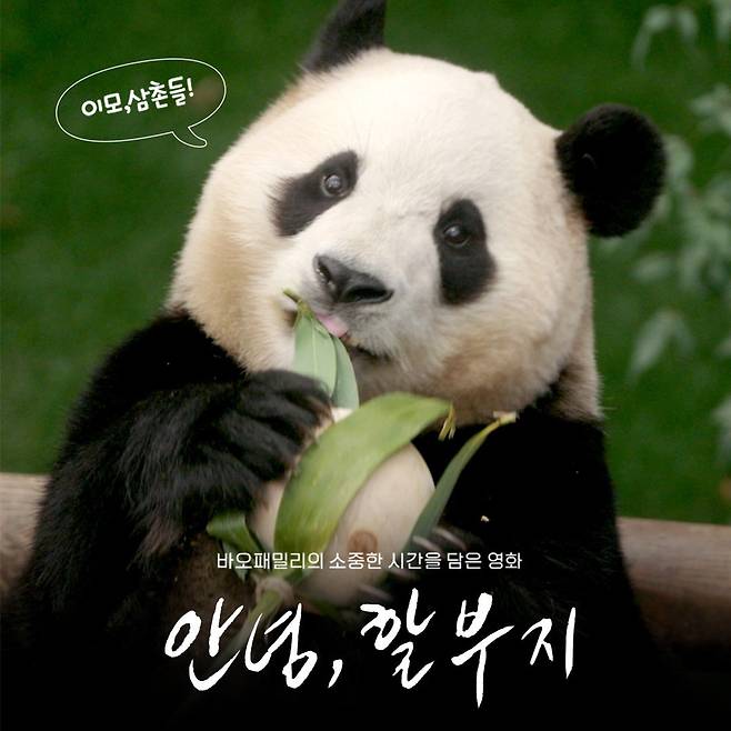 에버랜드가 푸바오를 주인공으로 만든 영화 ‘안녕, 할부지’의 엔딩크레딧 이벤트 사진. 삼성물산 리조트부문 제공