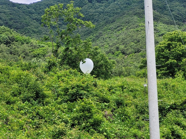 김여정 북한 노동당 부부장은 21일 전날 탈북단체가 대북을 전단 살포한 것에 대해 "분명하지 말라고 한 일을 또 벌렸으니 하지 않아도 될 일거리가 생기는 것은 당연하다"고 말했다. 사실상 오물풍선 살포 재개를 시사한 것으로 풀이된다. 사진은 지난 9일 충북 영동군 황간면 야산의 나무에 북한이 살포한 오물풍선이 매달려 있는 모습. 연합뉴스