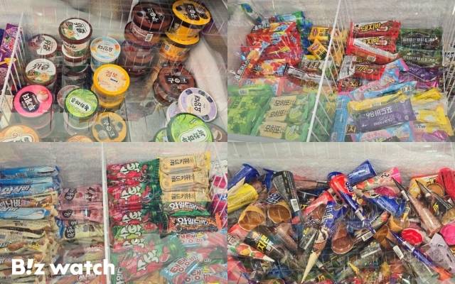 아이스크림 할인점에 비치된 바류, 콘류, 통류 등 아이스크림 제품들 / 사진=김지우 기자 zuzu@