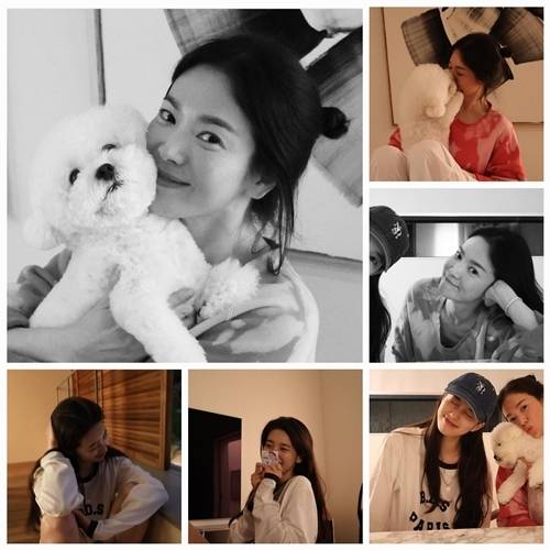 송혜교와 수지의 만남이 뜨거운 화제를 모았다. 사진=송혜교 SNS