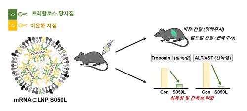 트레할로스 당지질로 이온화 지질의 일부를 대체한 신규 지질 나노입자 플랫폼의 디자인 및 성능 모식도 [한국과학기술연구원 제공. 재판매 및 DB 금지]