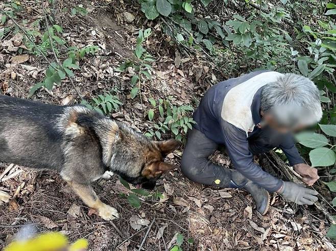 실종자 수색에 투입된 119구조견 고고가 실종자를 발견한 모습. [이미지출처=소방청]