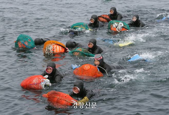 제주의 해녀. 제주도 제공