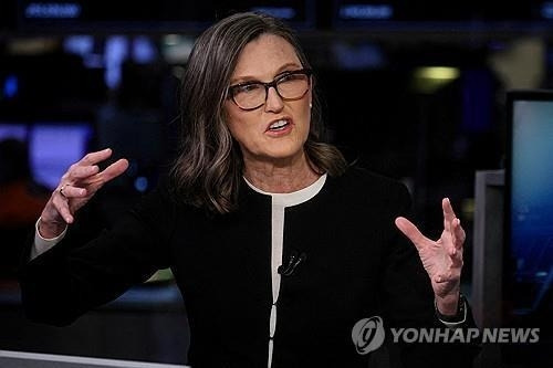 캐시 우드 아크인베스트먼트 최고경영자(CEO). [사진 출처 = 연합뉴스]