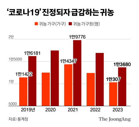 김영희 디자이너