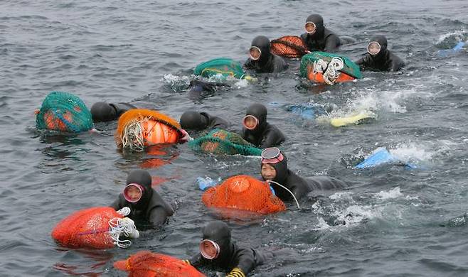 Haenyeo are working in the sea on Jeju Island. Courtesy of Jeju Island