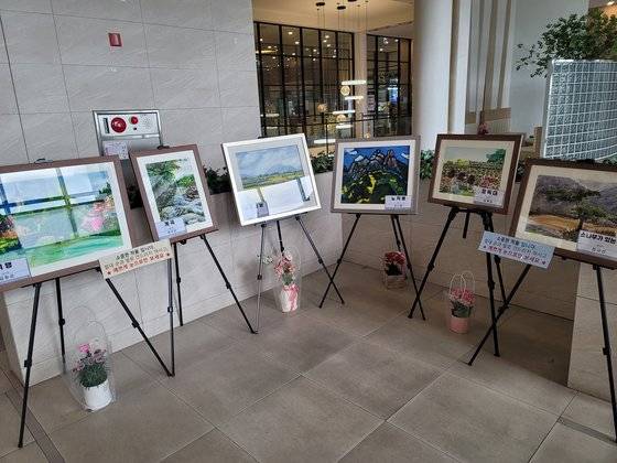 경기 용인시 기흥구의 '스프링카운티자이' 주민들이 모인 미술 동호회에서 그린 작품을 아파트 로비에 전시에 놨다. 김원 기자