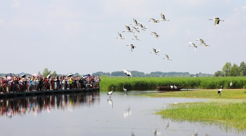 Qiqihar, Heilongjiang Province