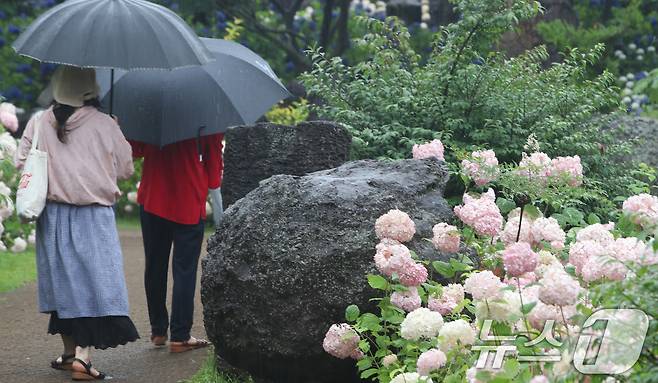 제주 일부 지역에 호우주의보가 내려진 27일 오전 제주시 구좌읍 송당리 동쪽송당 동화마을 수국정원에서 관광객들이 우산을 쓰고 산책하고 있다. 2024.6.27/뉴스1 ⓒ News1 오현지 기자