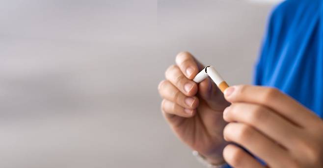 게티이미지코리아