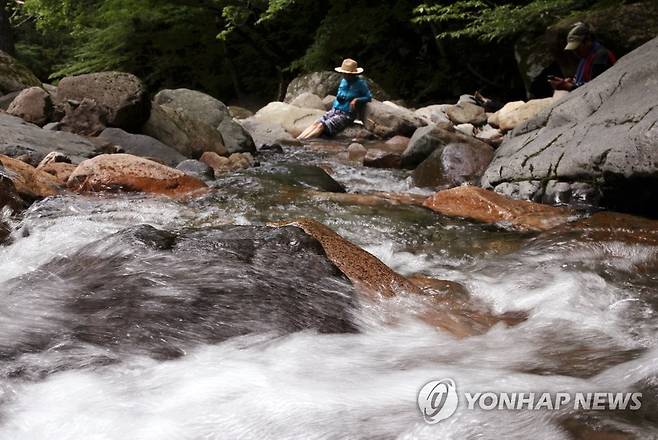 무등산 계곡 [연합뉴스 자료사진]