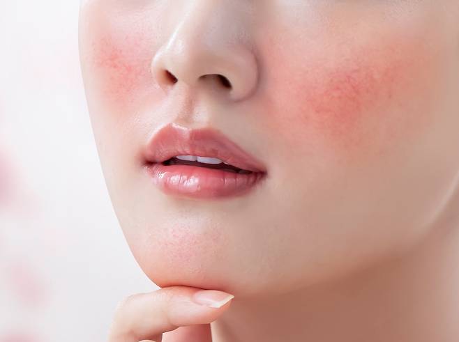 클립아트코리아