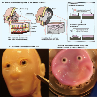 사진='Cell Press' 캡쳐