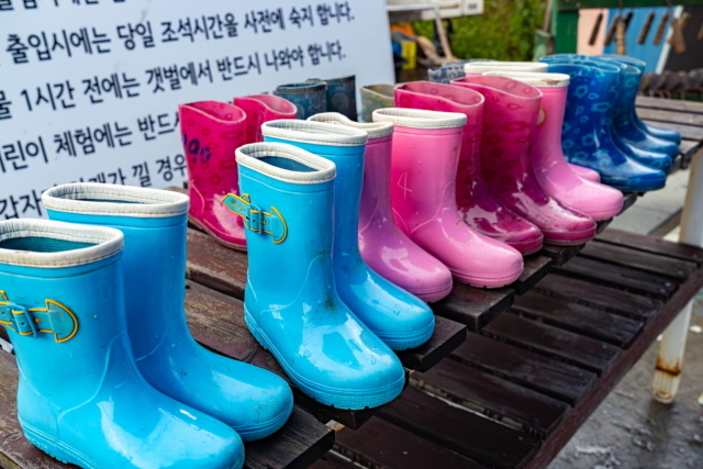 서산 갯벌체험. /한국관광공사