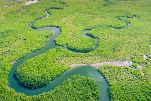 공중에서 촬영한 아마존 열대우림.  123RF.