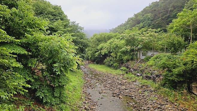20240629_140419.jpg 장모님 생신 비오는 날 계곡 닭백숙과 오리주물럭